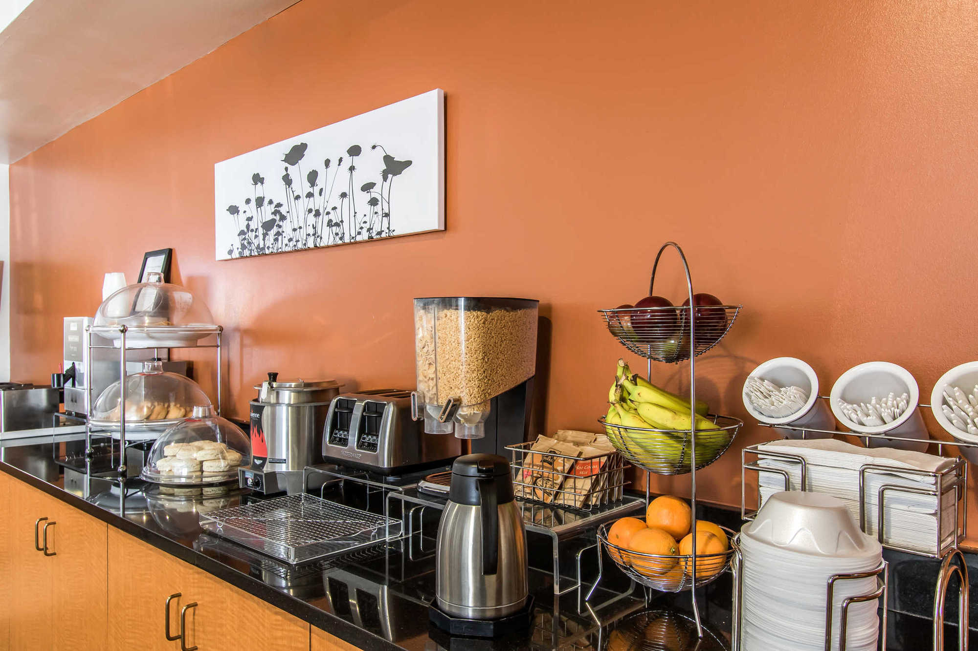Sleep Inn & Suites Lebanon - Nashville Area Ανέσεις φωτογραφία